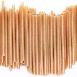 Biodegradable Sugarcane Fiber Cocktail Straws (200 Pieces)