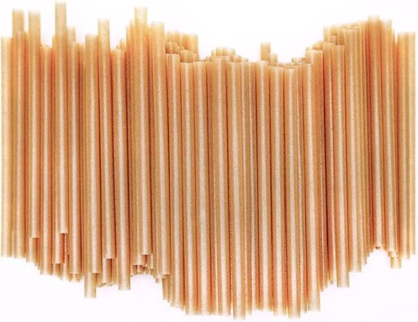 Biodegradable Sugarcane Fiber Cocktail Straws (200 Pieces)