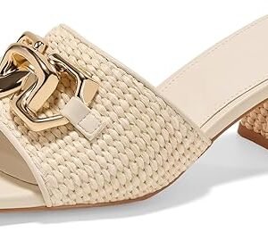 Women’s Raffia Slide Sandals Chunky Heeled Open Toe Shoes